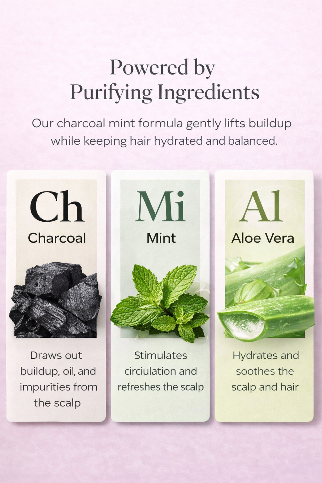 Detoxifying Charcoal Mint Conditioner